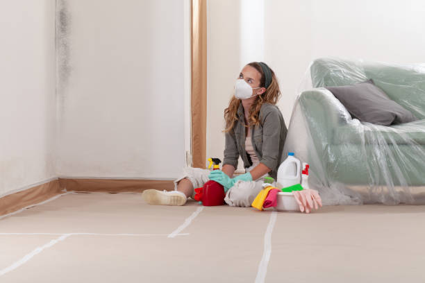 Reliable Mold Cleanup contractor in Watchung, NJ by Cheap Mold Removal